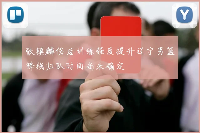 张镇麟伤后训练强度提升辽宁男篮锋线归队时间尚未确定